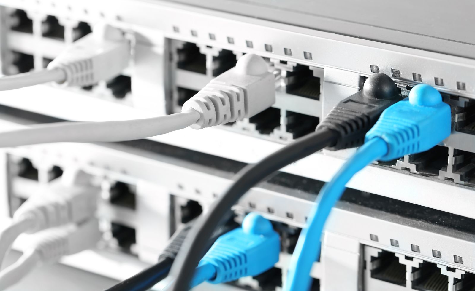 Network cabling patched into a professional switch